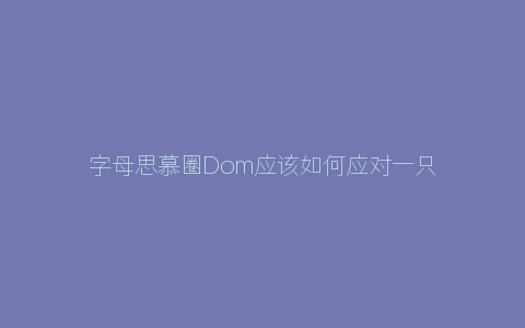 字母思慕圈Dom应该如何应对一只Brat