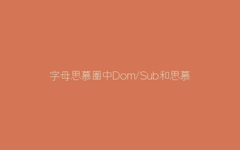 字母思慕圈中Dom/Sub和思慕的区别