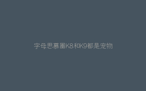 字母思慕圈K8和K9都是宠物