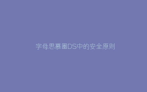 ​字母思慕圈DS中的安全原则