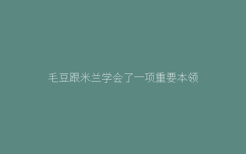 毛豆跟米兰学会了一项重要本领