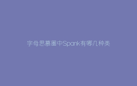 字母思慕圈中Spank有哪几种类型