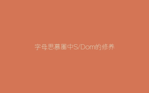 字母思慕圈中S/Dom的修养