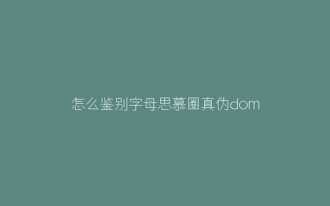 怎么鉴别字母思慕圈真伪dom