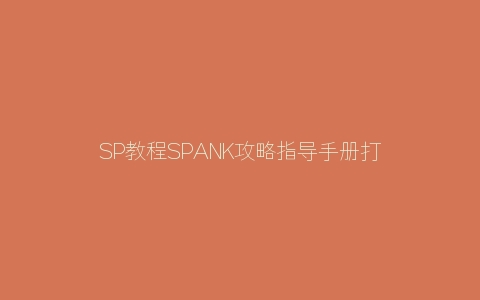 SP教程SPANK攻略指导手册打PP注意事项