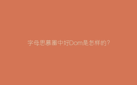 字母思慕圈中好Dom是怎样的？