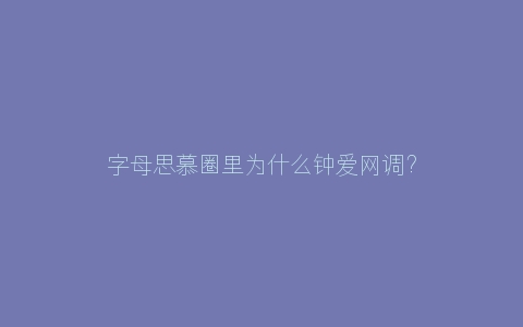 字母思慕圈里为什么钟爱网调？