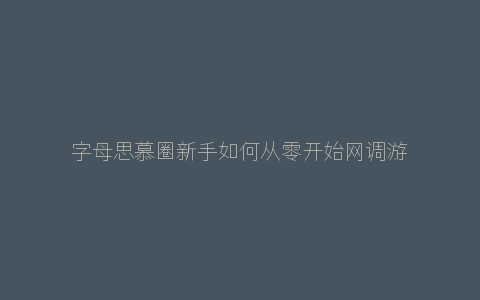 字母思慕圈新手如何从零开始网调游戏？