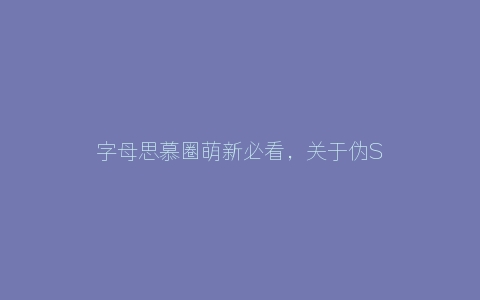 字母思慕圈萌新必看，关于伪S